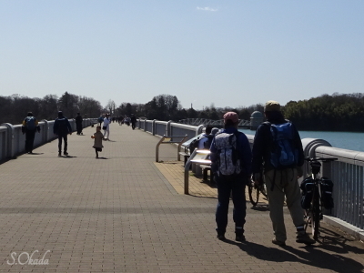 多摩湖堤防を歩く人々 多摩湖堤防を歩く人々