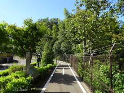 取水塔近く多摩湖通り沿い 取水塔近く多摩湖通り沿い