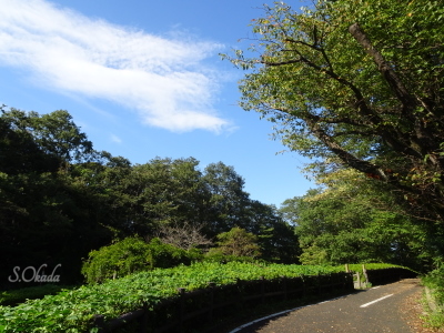 コースの西端・かぶと橋付近 コースの西端・かぶと橋付近