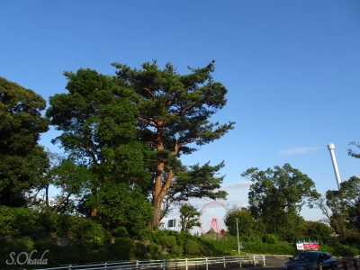 掬水亭入口から西武遊園地方面 掬水亭入口から西武遊園地方面