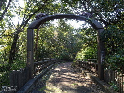 かぶと橋（多摩湖コースからの分かれ道）