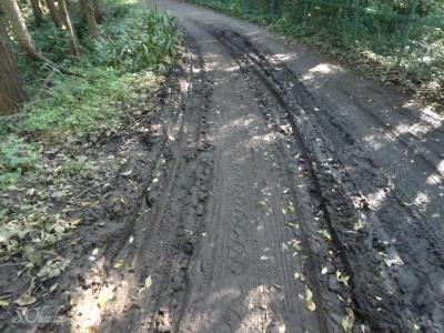 狭山湖北側の林道2ぬかるみ