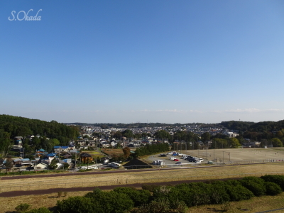 トトロの森一号地と上山口