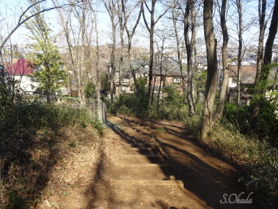 八国山緑地尾根道こ-東端-2019-0403 八国山緑地尾根道こ-東端-2019-0403
