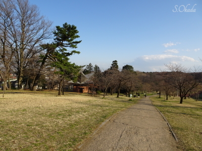 ①多摩湖コース・都立狭山公園 ①多摩湖コース・都立狭山公園