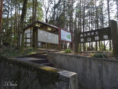 ④多摩湖コース・大和市立狭山緑地 ④多摩湖コース・大和市立狭山緑地